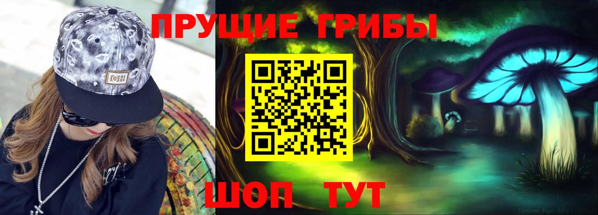 Псилоцибиновые грибы мухоморы Магадан