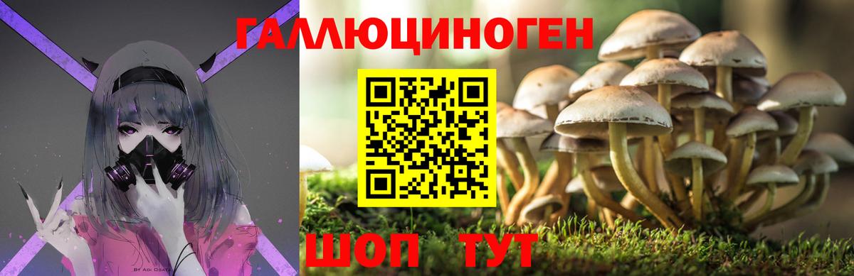 Псилоцибиновые грибы мухоморы  Вход с VPN  Магадан 